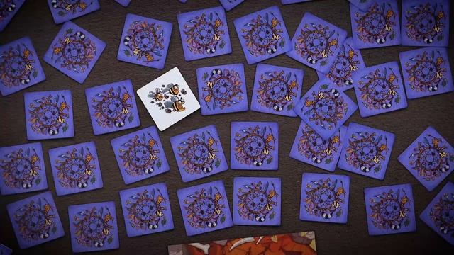 Охотники настольная игра. правила.