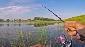Попали на Активный клёв Окуня в июле! Рыбалка на Микроджиг. Деревенский пруд