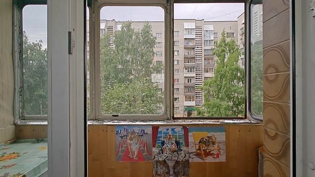 1000067243.mp4 смотреть онлайн