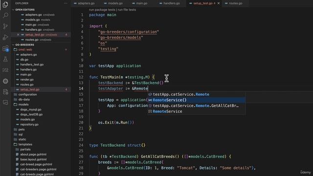 72 - Adding a test for the Cat Breeds handler using our adapter pattern смотреть онлайн