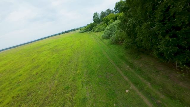 Walking With Pavo/Прогулка с Pavo