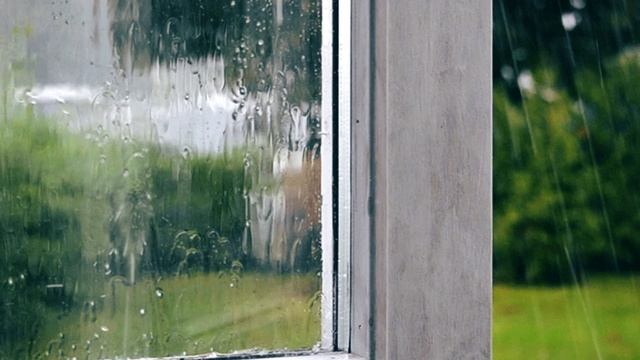 ПЛАЧЕТ ДОЖДЬ КАПРИЗНЫЙ- слова Андрей Акимов музыка исполняет Николай Ананьев гармонь смотреть онлайн