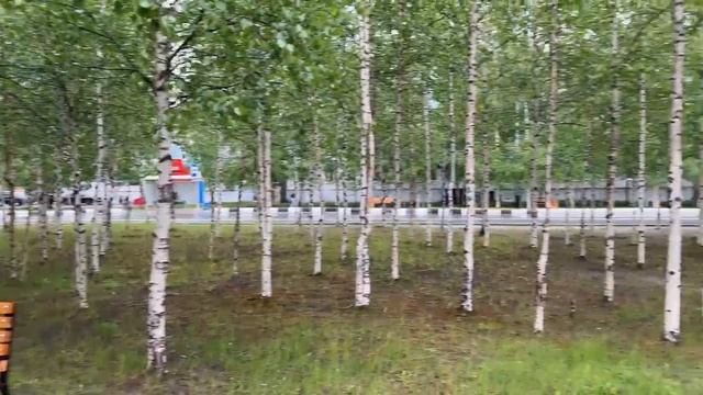 12-07-2025 смотреть онлайн