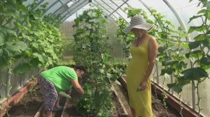 6 соток 10 июля 2025 года. Хроника