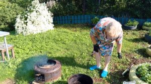 Ленивые голубцы + копчёная рыба: два хита в одном видео! 🐟.