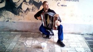 #песнякатюша #гармошка #катюшагармошке #гармонь #сезонконтентаRUTUBE #катюша  Катюша на гармошке.