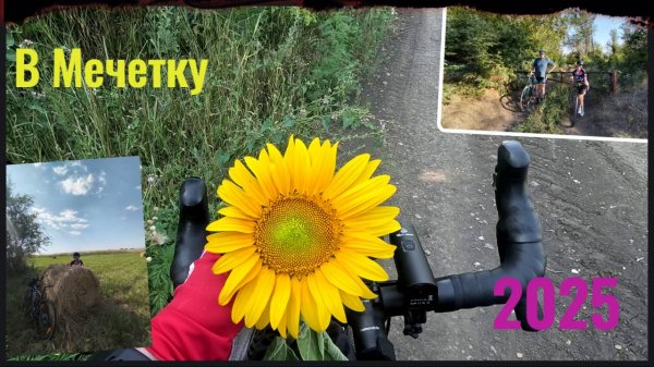 В Мечетку