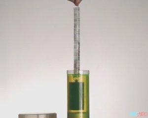 Физика. Опыты. Действие жидкости на погруженное тело