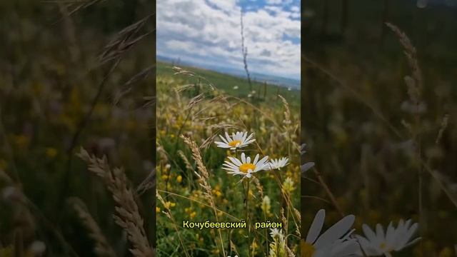 Яман-джалга