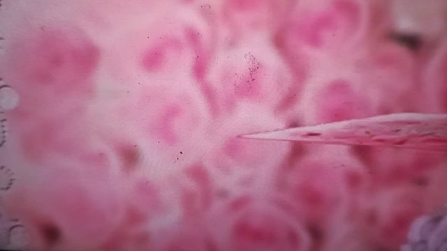 12 июля❤️ Годовщина нашей свадьбы ❤️💞❤️💞❤️💞 смотреть онлайн