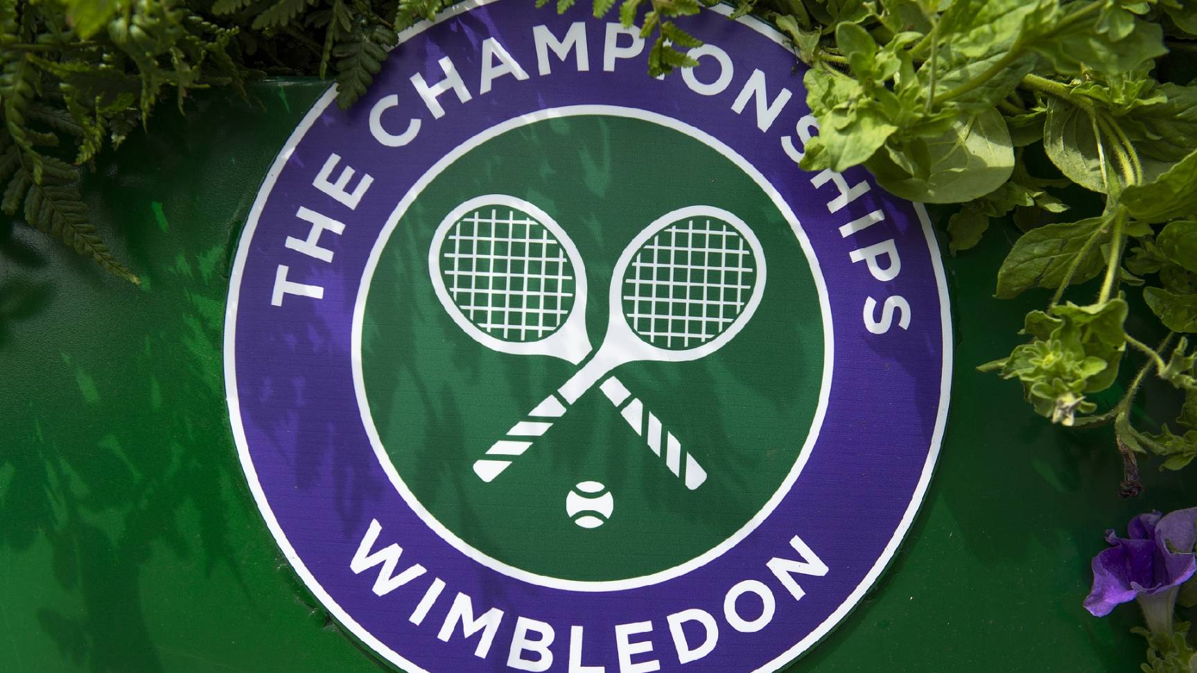 12.07.2025 | Теннис | Уимблдон| Анисимова - Швёнтек| ФИНАЛ | Wimbledon смотреть онлайн