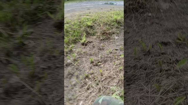 путешественник и убийца смотреть онлайн