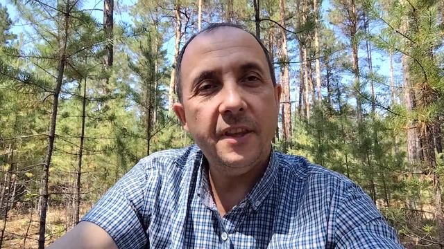 Осознанность. смотреть онлайн
