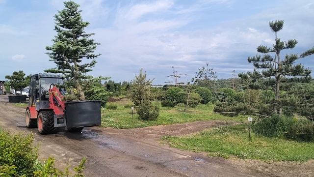 Поставляем технику и оборудование в питомники декоративных деревьев, в ягодные хозяйства и сады. смотреть онлайн