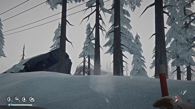 The Long Dark-4