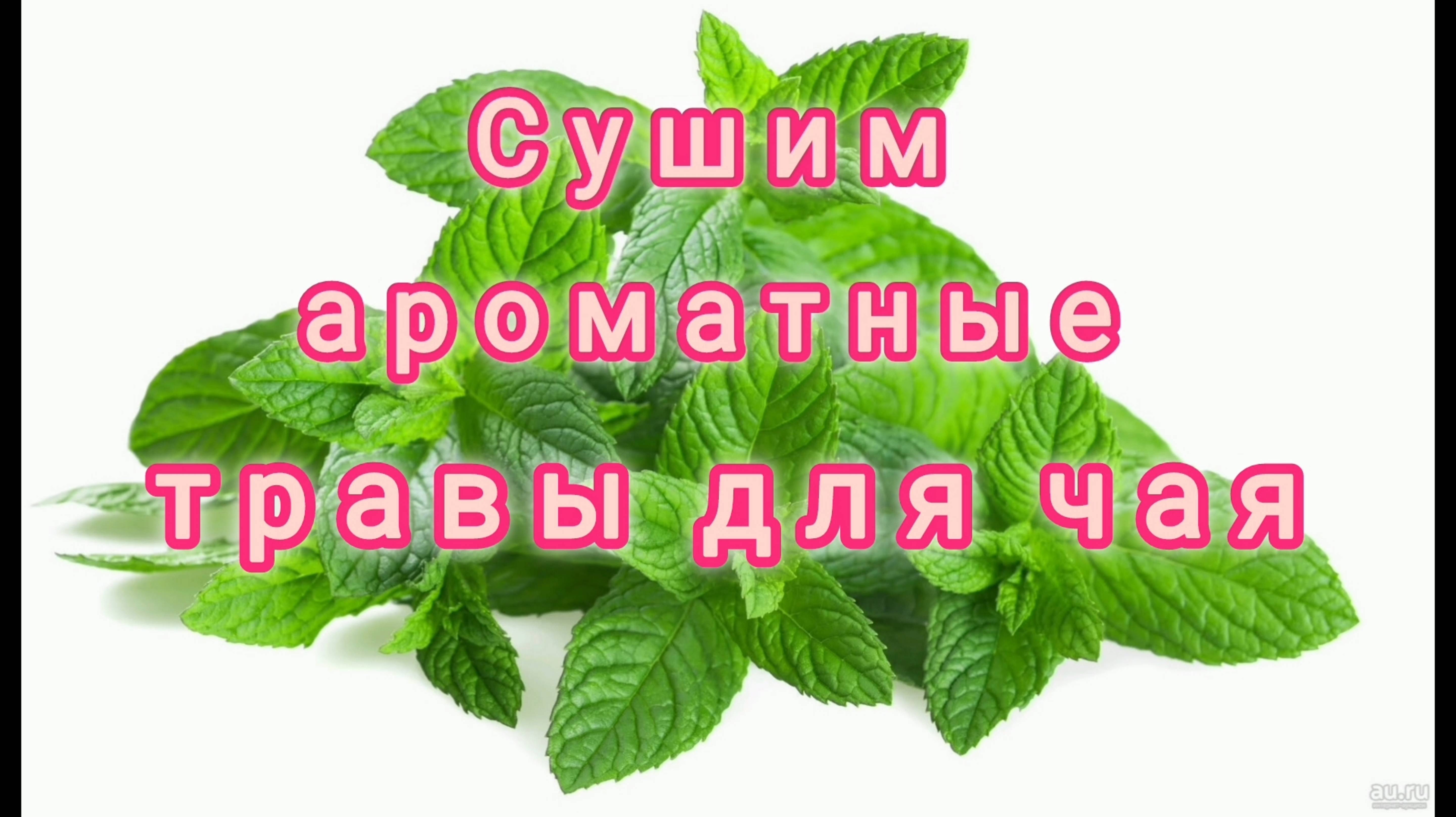 КАК ПРАВИЛЬНО СУШИТЬ АРОМАТНЫЕ ТРАВЫ ДЛЯ ЧАЯ?