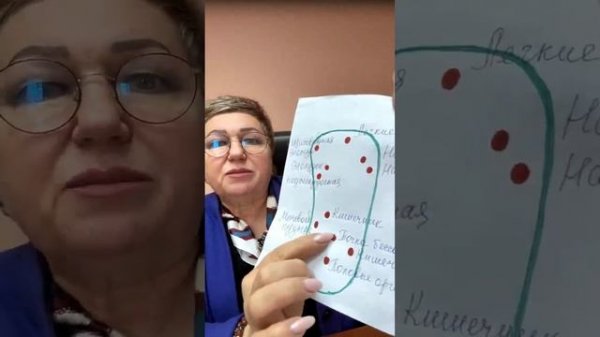 Стельки. Обучающий вебинар