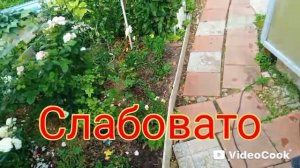 Опять насос