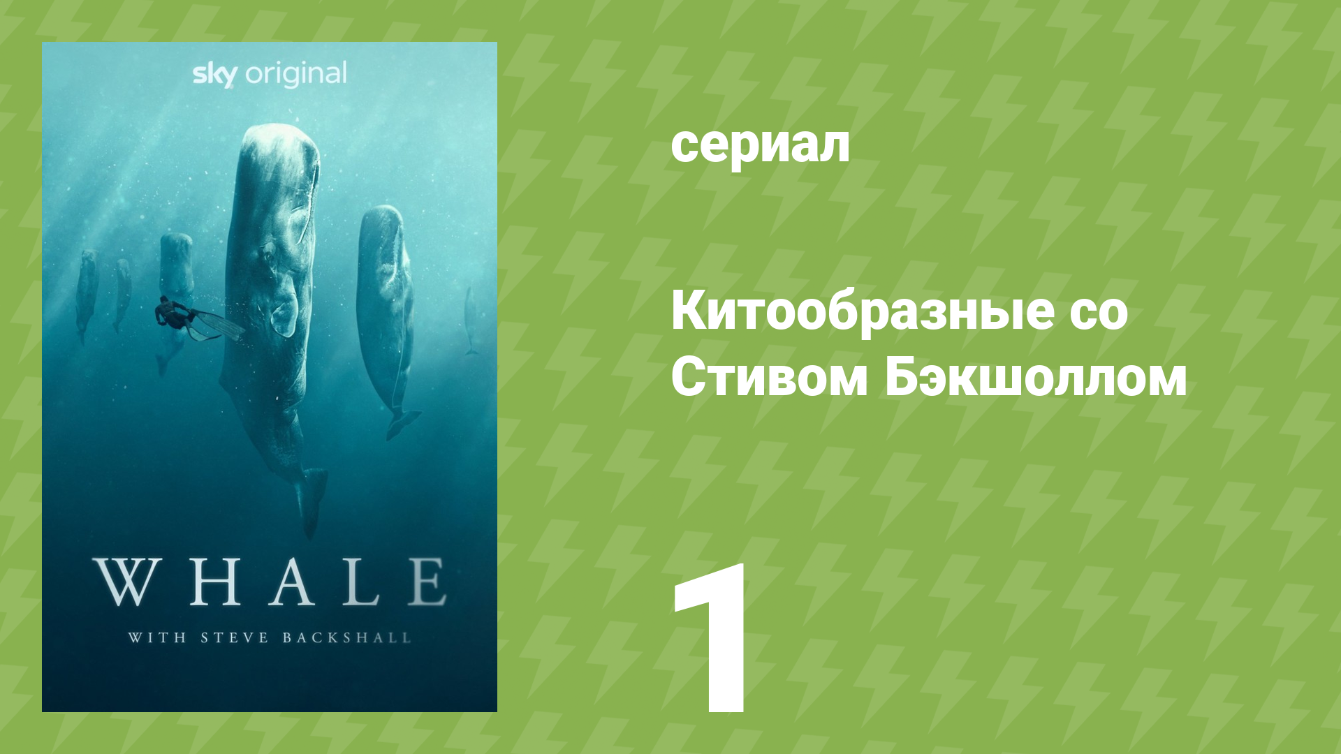Китообразные со Стивом Бэкшоллом 1 серия «Киты и мы» (документальный сериал, 2023) смотреть онлайн