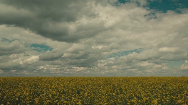 Счастье не зависит от других смотреть онлайн