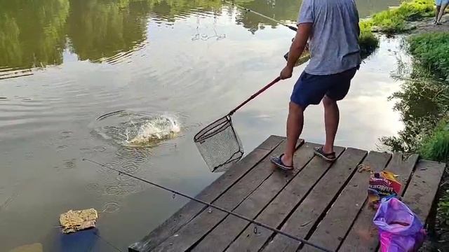 Карп смотреть онлайн