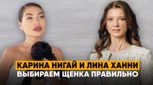 Черный мальтипу у Карины Нигай. Мальтипу с Авито или от профессионального заводчика?