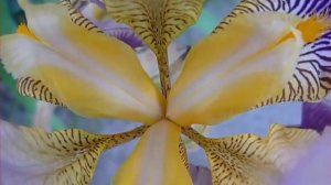 Музыка для снятия негатива, стресса, усталости, депрессии_Full HD