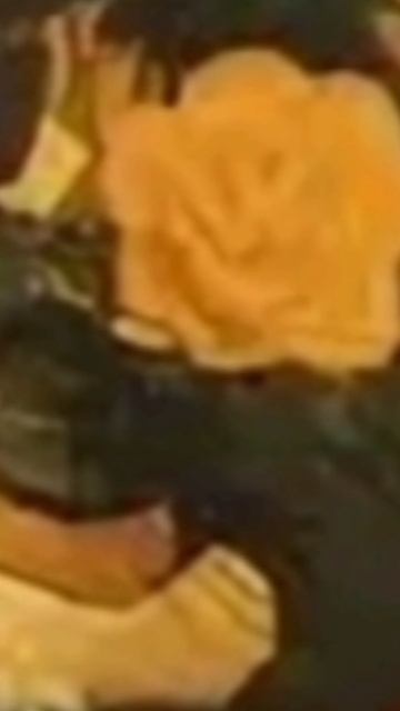 Белые глаза|WCUE