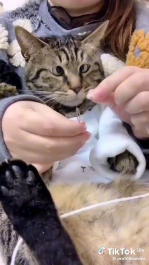 получилось?