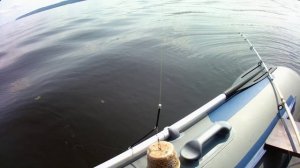 Снасть для ловли леща с лодки. "Банка"