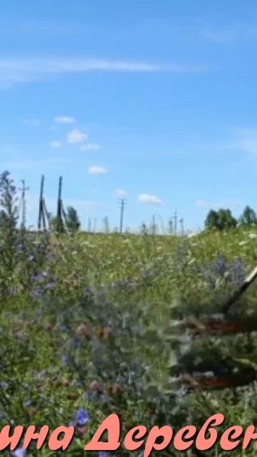 Как давно я дома не был - Виктор Бекк смотреть онлайн