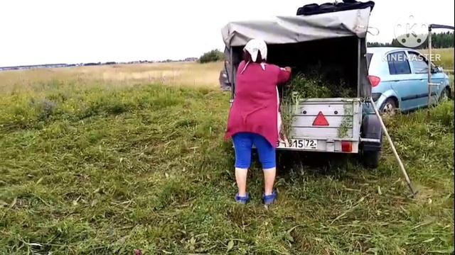 Про покос в деревне и натуральный продукт смотреть онлайн