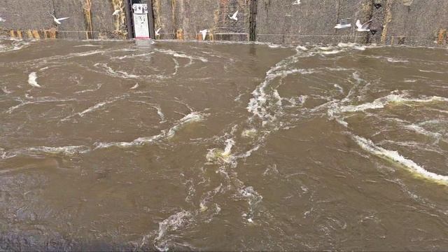 Портал в Рыбинское водохранилище