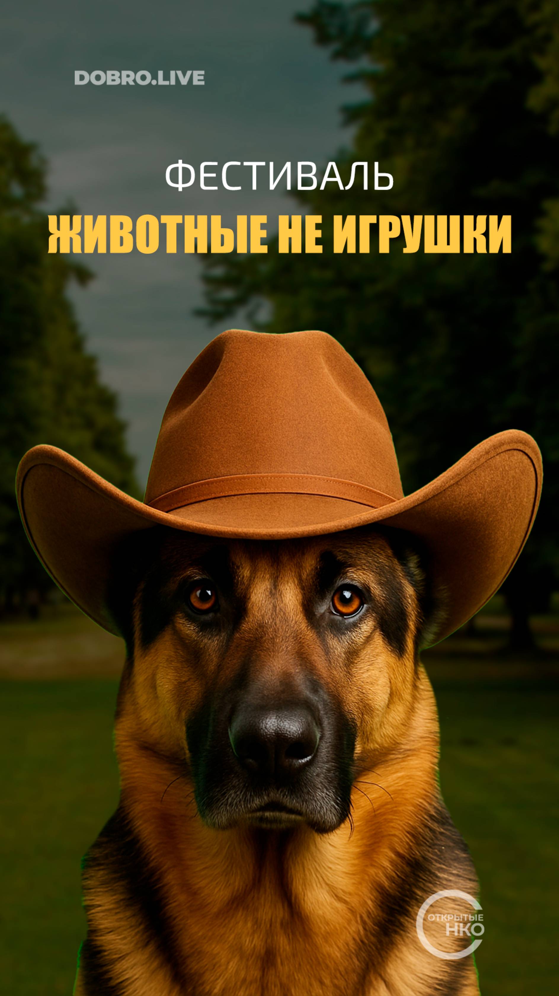 100 пар человек-питомец прошлись парадом в Череповце смотреть онлайн