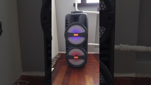 Колонка акустическая DigiVolt DG-1032