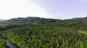 Красоты острова Сахалин. Река Агнево. Раннее утро. Июнь 2025