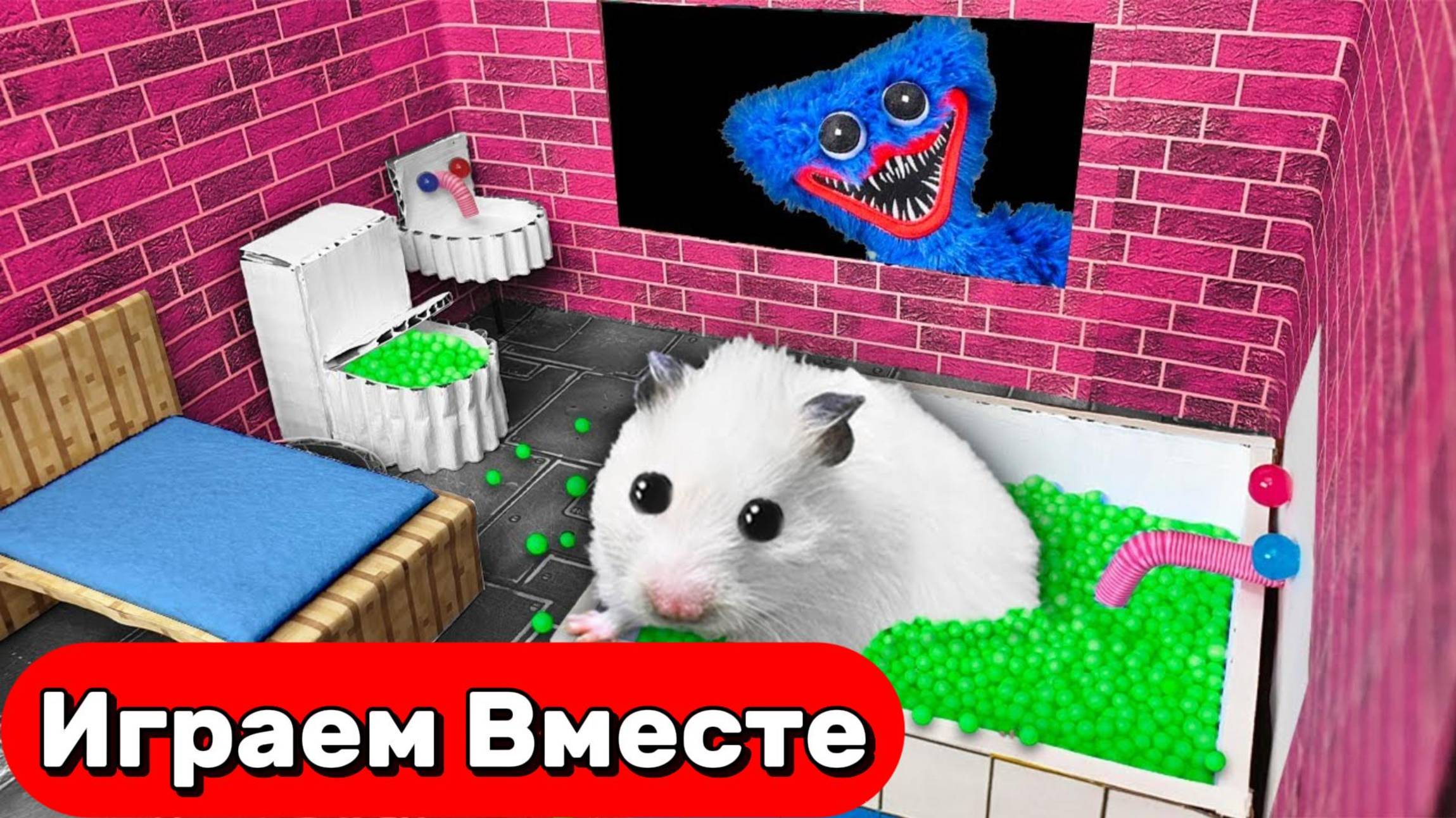 Лабиринт для Хомяка с ЛОВУШКАМИ ОТ ХАГГИВАГГИ 🐹 Играем вместе с Хомяком 🐹 Видео для детей