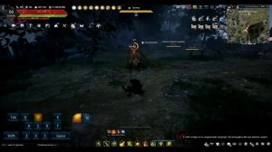 Комбо для Лучника BDO. PvE PvP