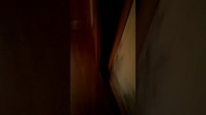 фильм сонный паралич