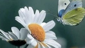 12-07-2025 Жизнь в деревне. 🏠 Обзор товара от Василька.