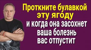 Даже врачи уважают этот шаманский метод. Проткните булавкой эту ягоду и вы перестанете болеть