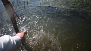 Рыбалка. Ловим леща на фидер с лодки.