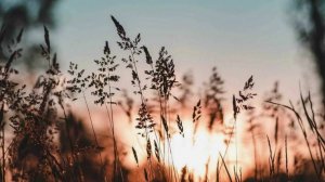 Истории из жизни: ✅ Разрушенный отпуск ... Аудио рассказы Жизненные истории