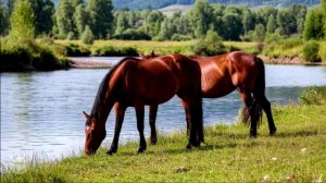 Время покажет... (И. Слуцкий - А. Антыков)