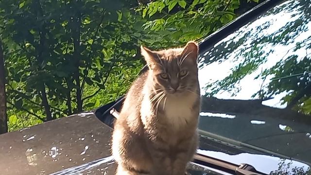 12 июля 2025. Первый жаркий день в этом году. смотреть онлайн