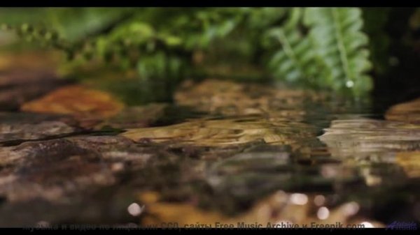 Он заставит тебя верить в чудеса снова! - Gods Grace -- Kirk Osamayo -- Season Two (YELLOW)