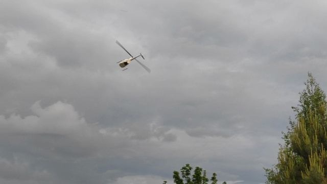 ГендерПати