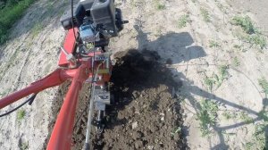 Мотоблок  Krotof TLR 1160 со стоковыми фрезами