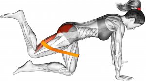 Лучшие Упражнения с Эластичной Лентой