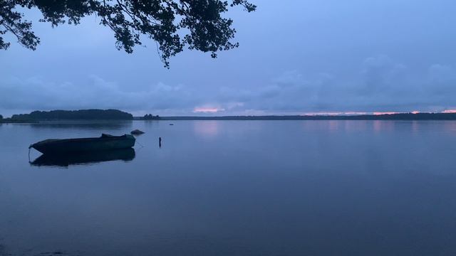 СПБ. В Прибылово полный штиль 05.07.2025 смотреть онлайн